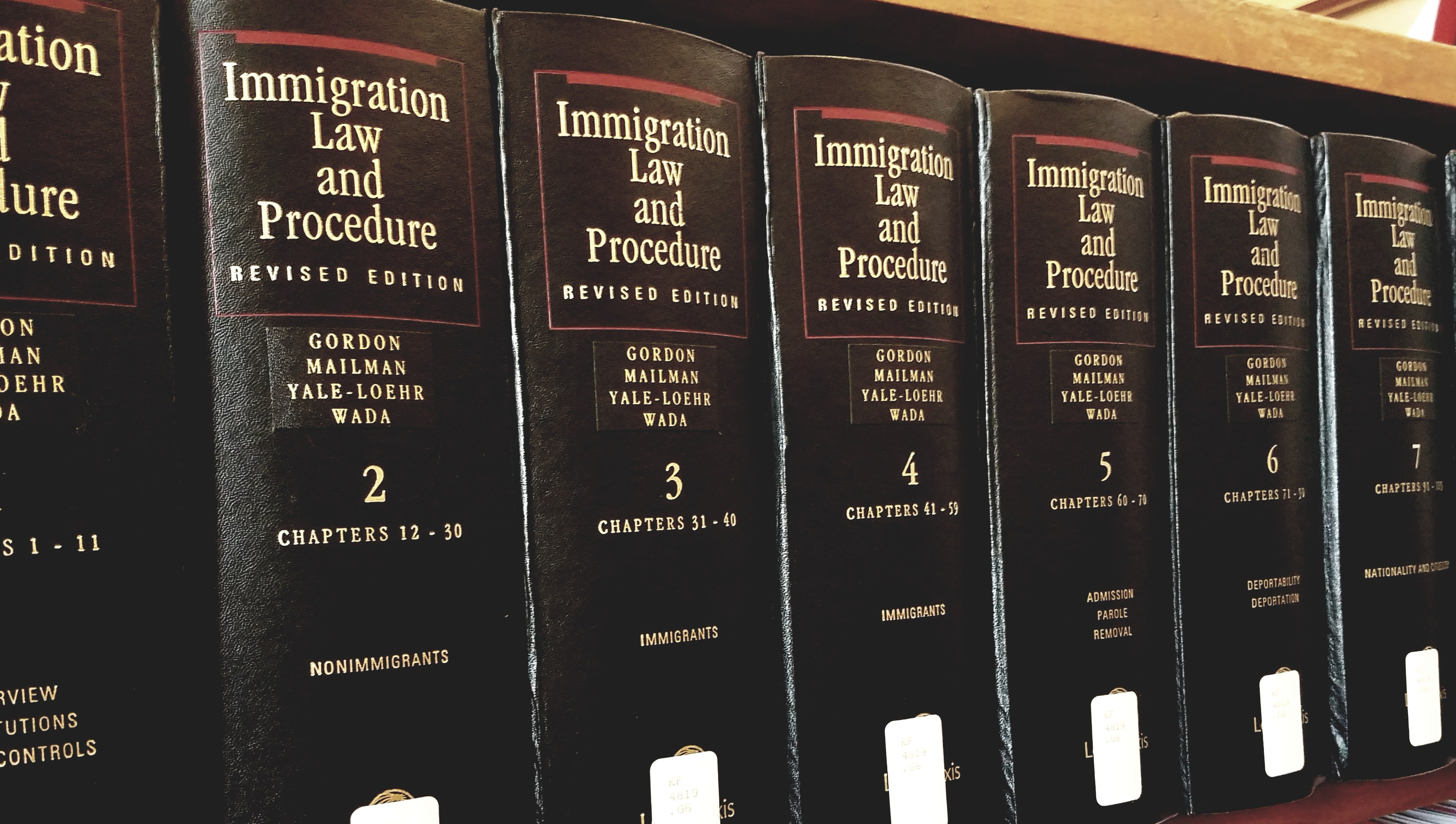 Picture of Immigration Law and Practice